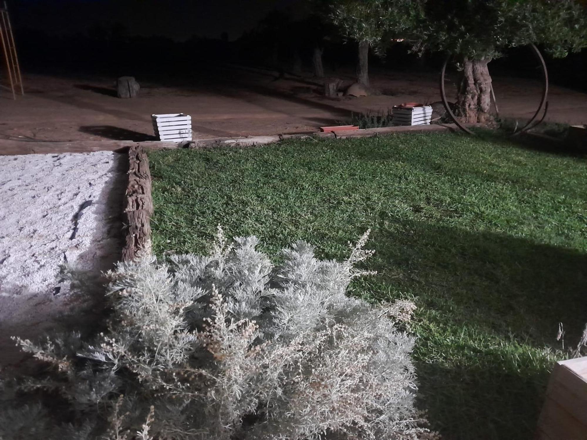 Casa Rural Cerro Campon Carmona  Dış mekan fotoğraf