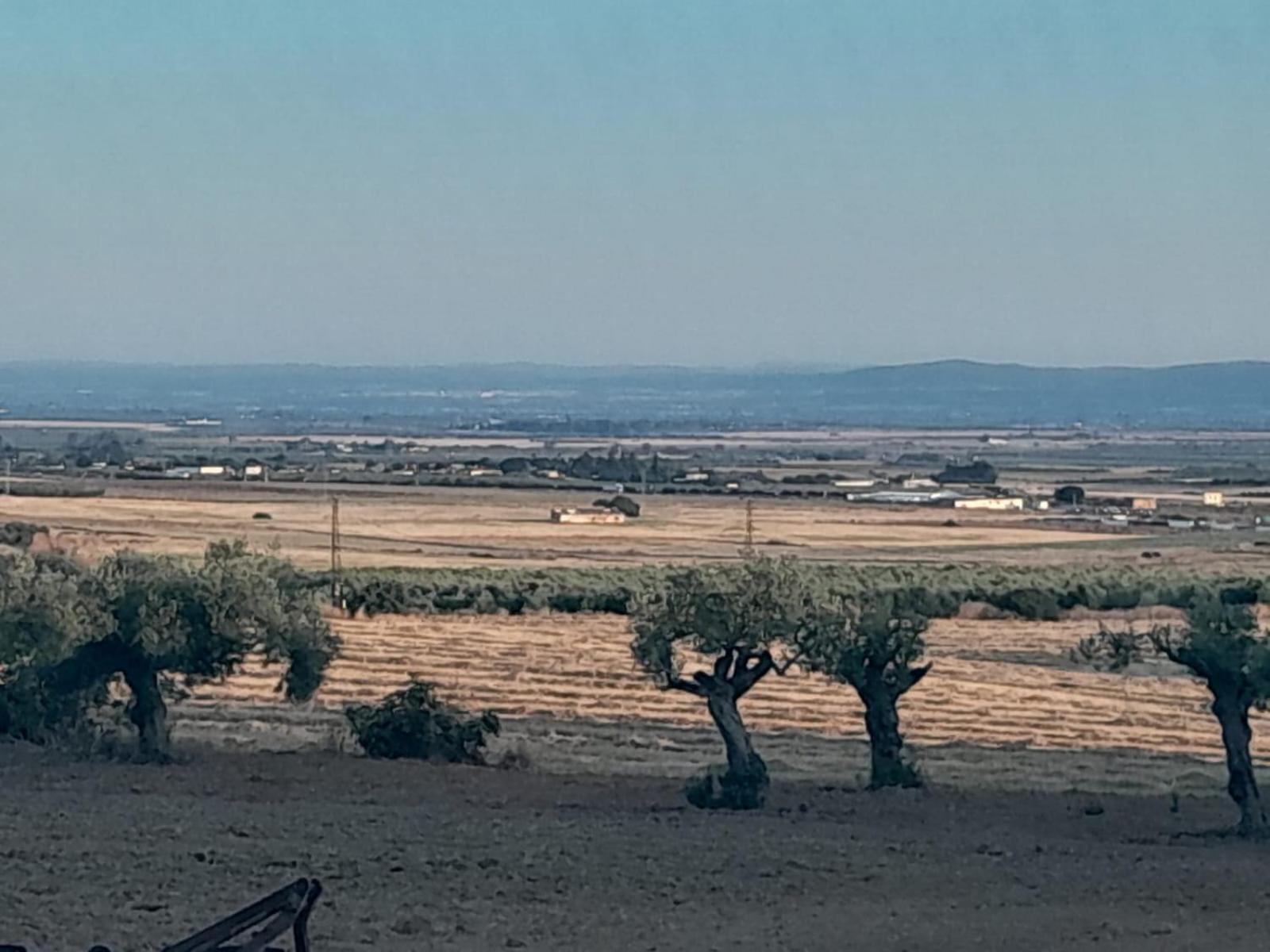 Casa Rural Cerro Campon Carmona  Dış mekan fotoğraf