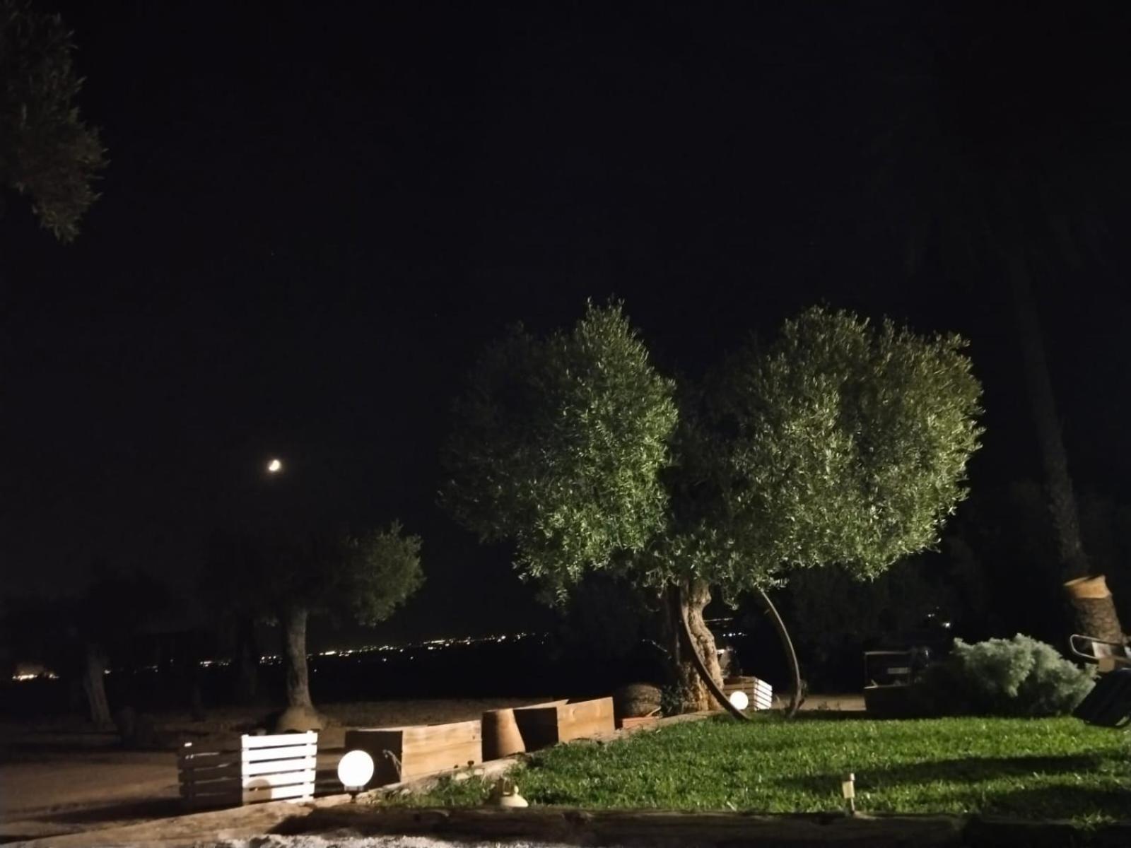 Casa Rural Cerro Campon Carmona  Dış mekan fotoğraf