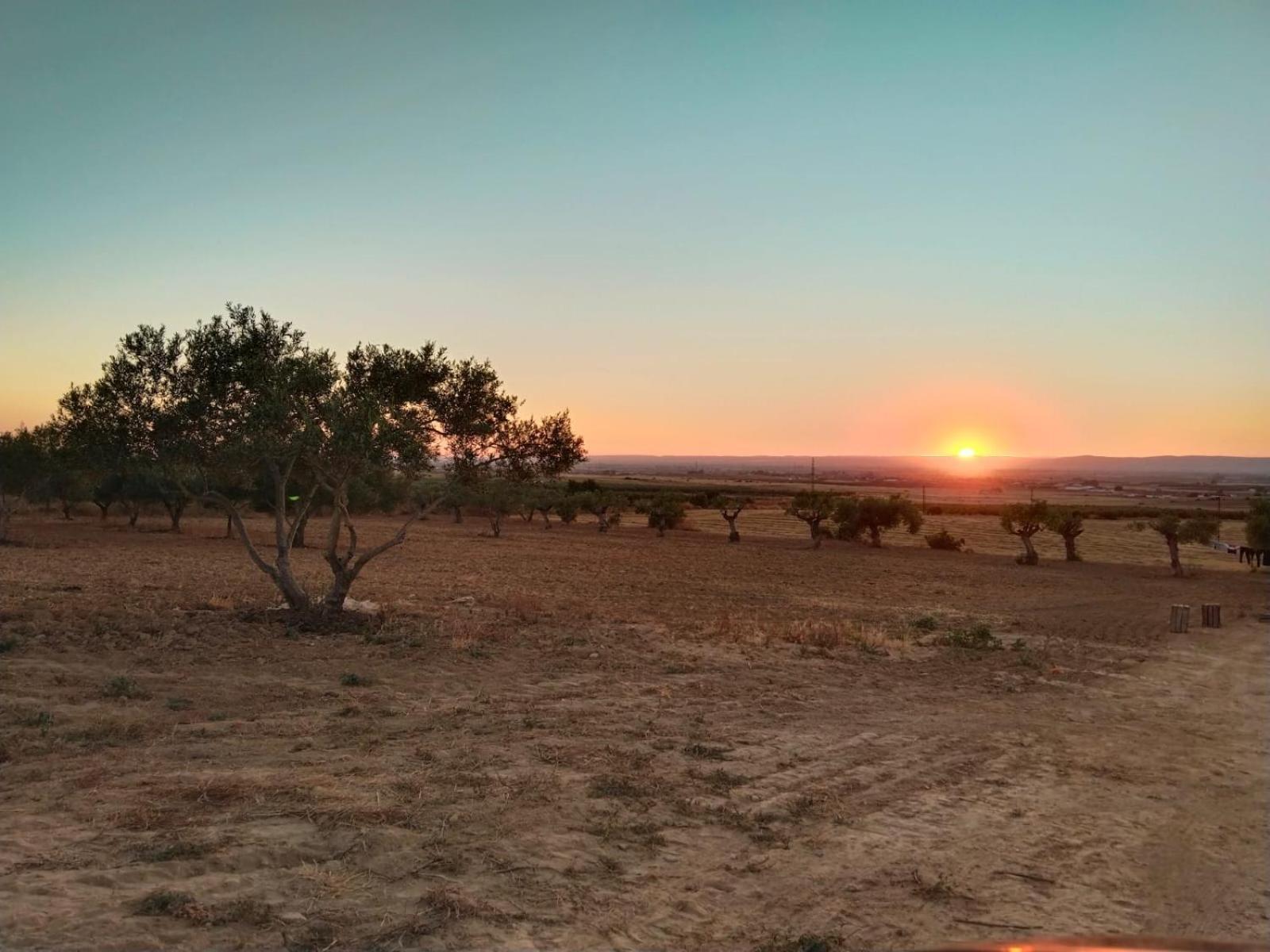 Casa Rural Cerro Campon Carmona  Dış mekan fotoğraf