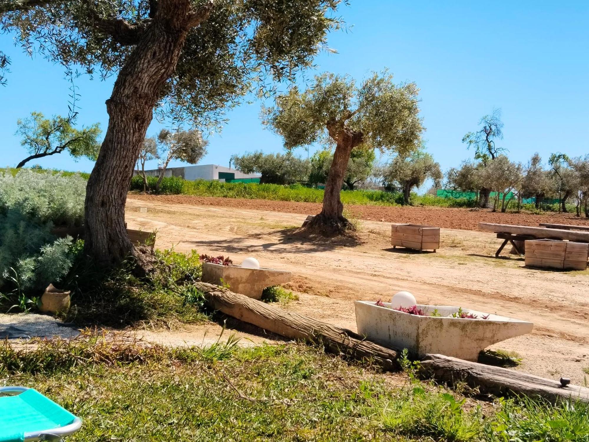 Casa Rural Cerro Campon Carmona  Dış mekan fotoğraf